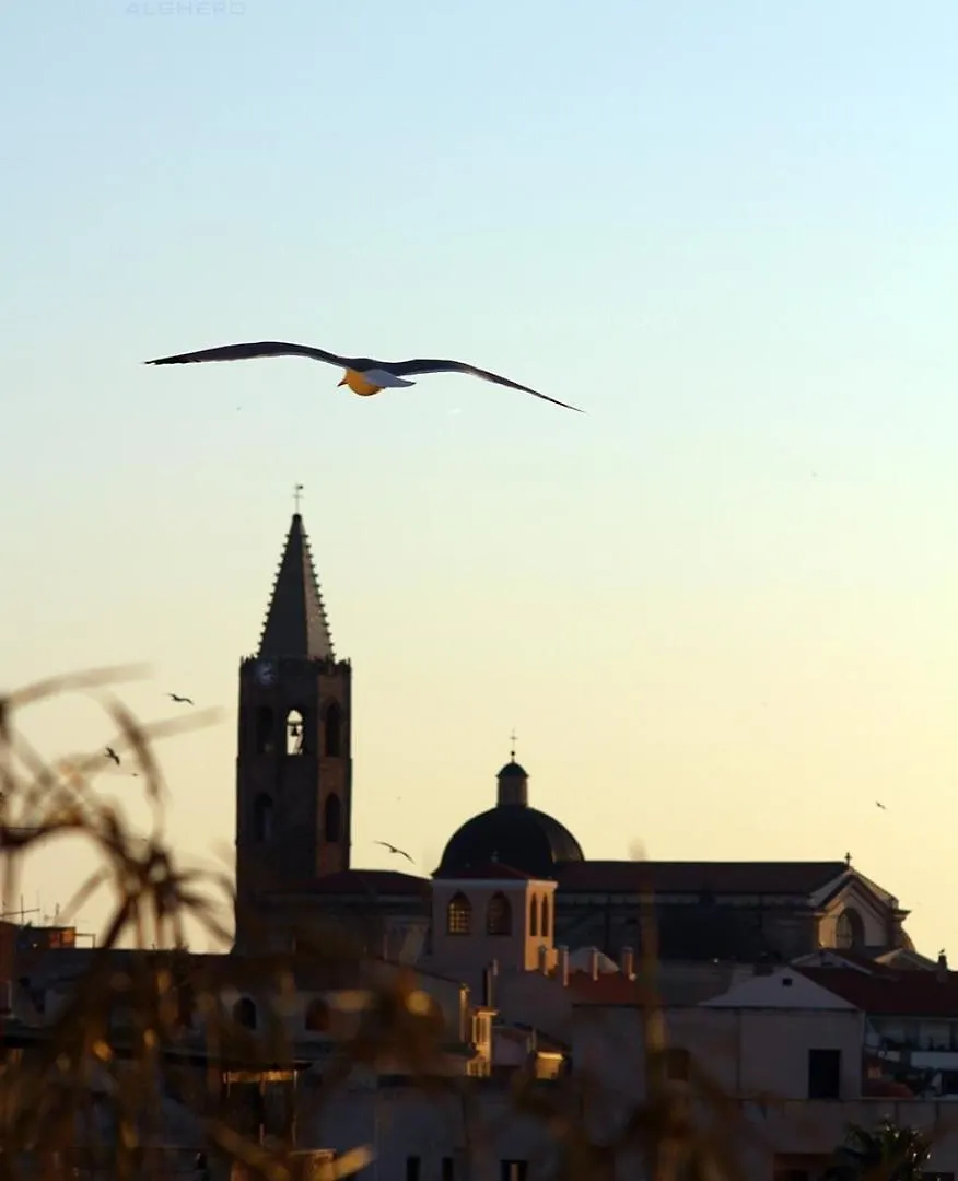 Sunset House Lejlighed Alghero 0*,